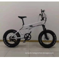 Light Weight Foldable Ebike/Fat Tire Folding E Bike with Disc Brake